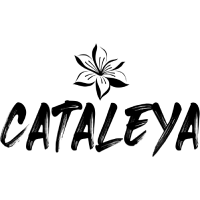 Cataleya Cataleya