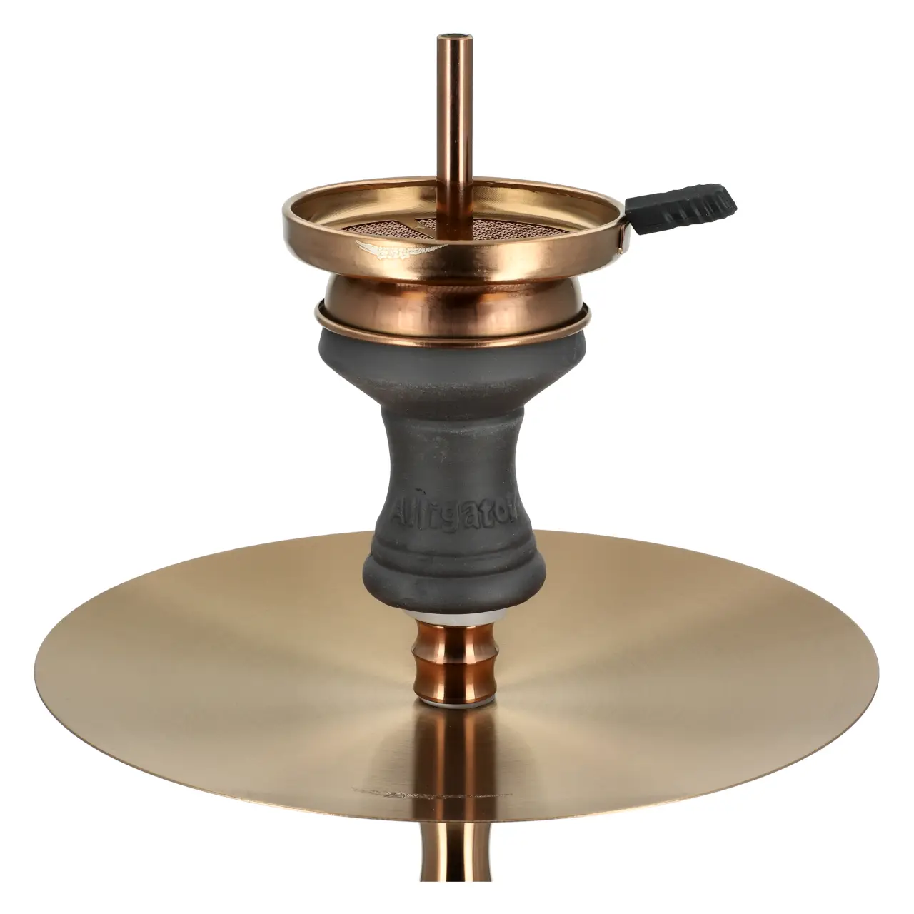 Alligator Gator Teller mit Kopf Bronze