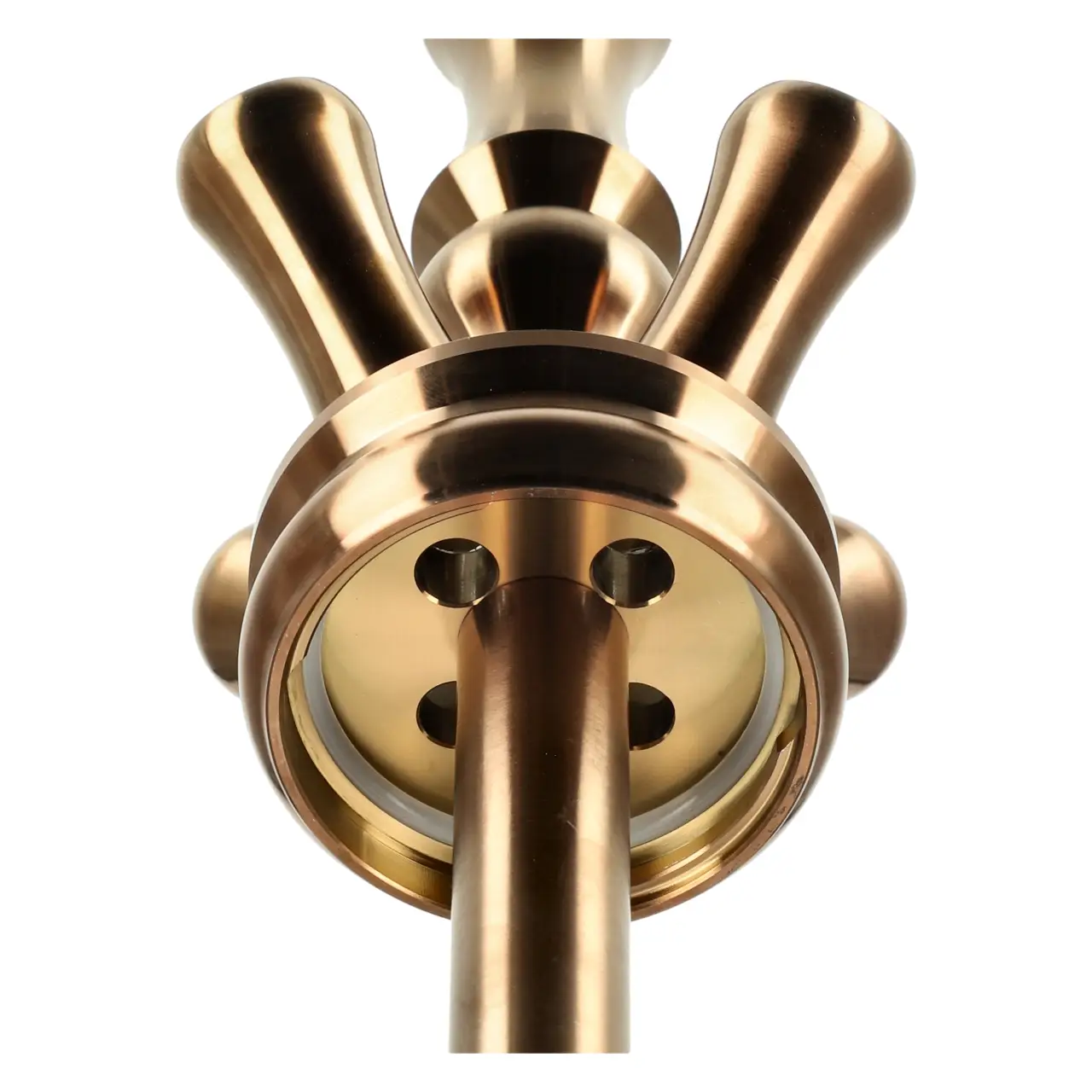 Alligator Gator Base Bronze - von Unten