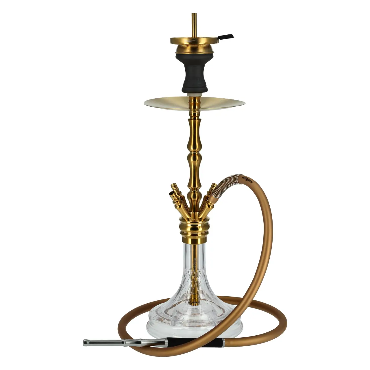 Alligator Gator S Shisha Gold