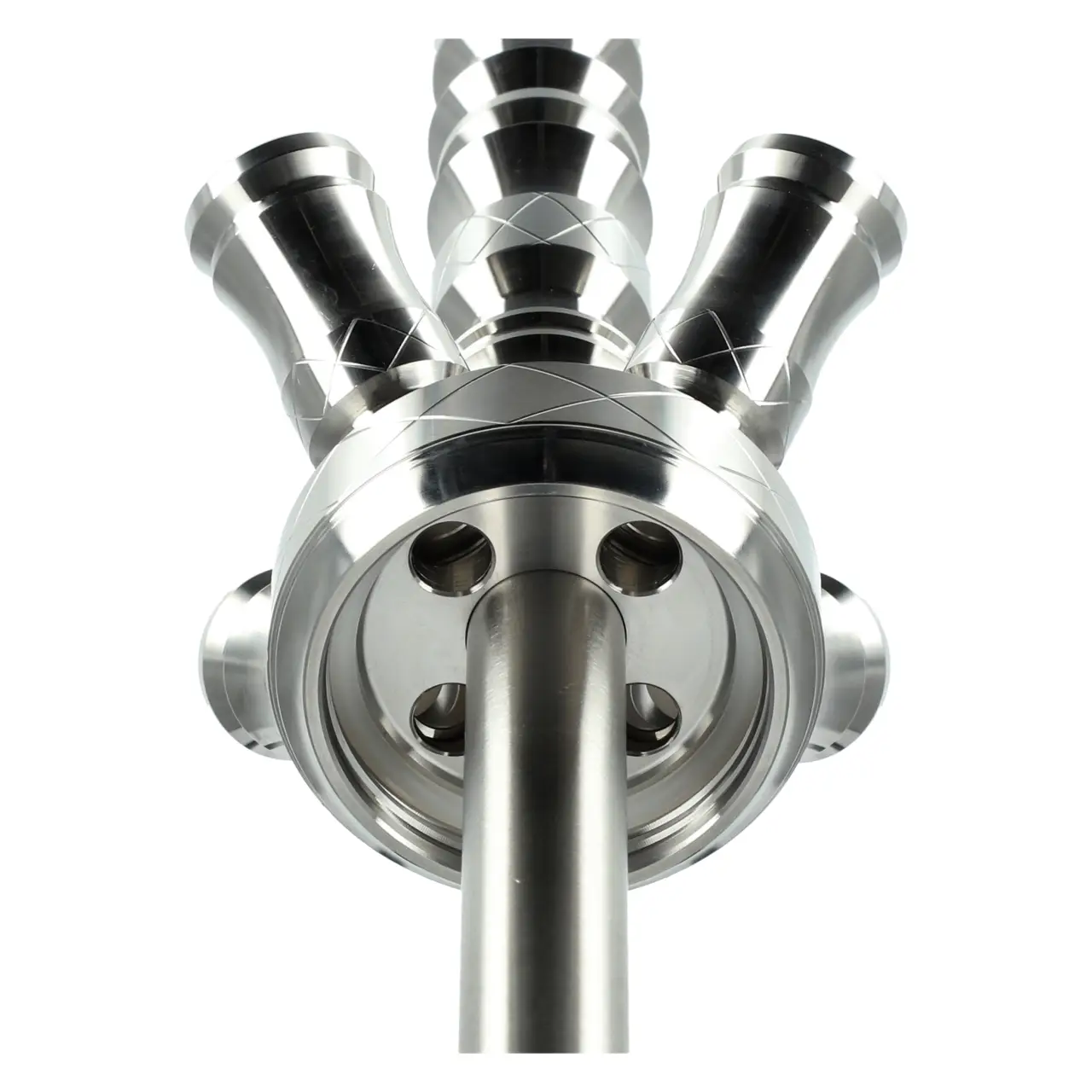 Mata Leon MLS791 Dubia Base von Unten