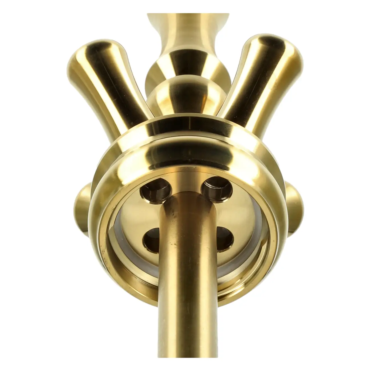 Alligator Gator S Base Gold - von Unten