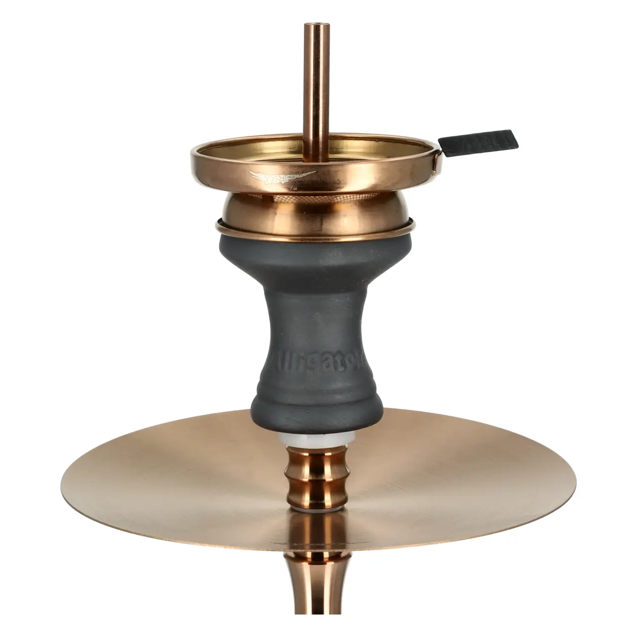 Alligator Gator S Teller mit Kopf Bronze