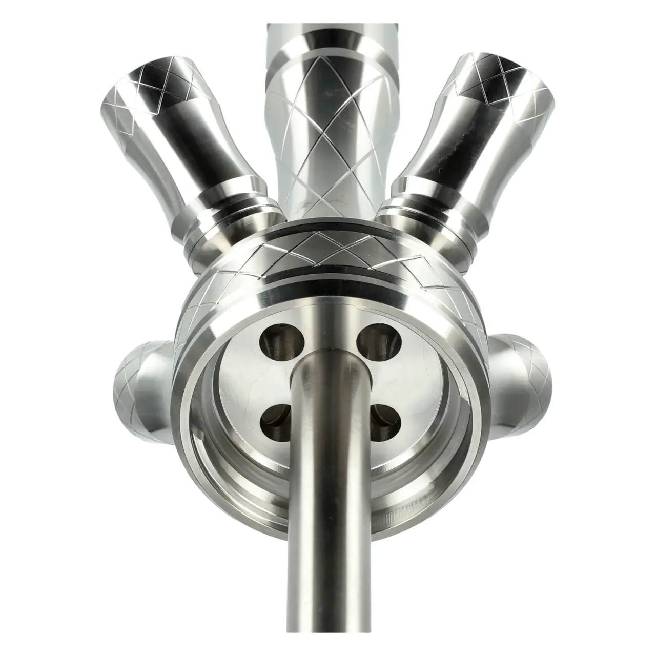 Alligator Safari X Base von Unten