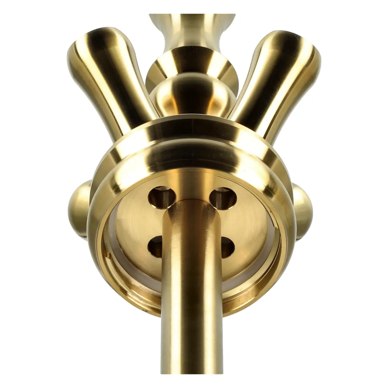 Alligator Gator Base Gold - von Unten