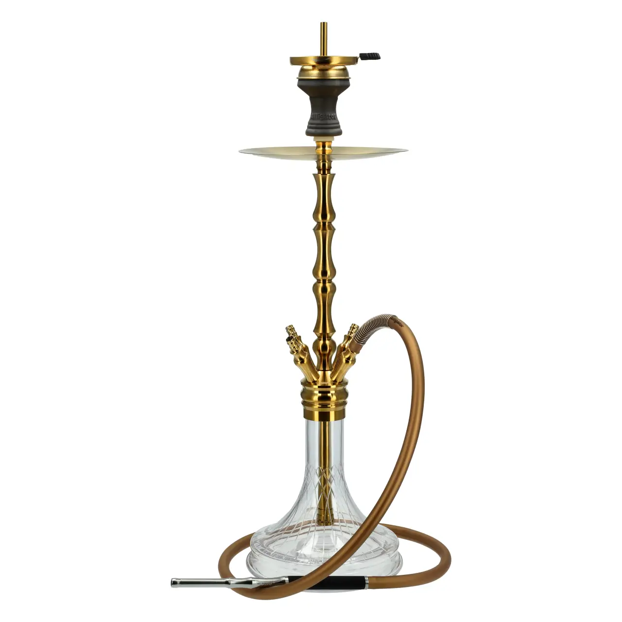 Alligator Gator Shisha Gold