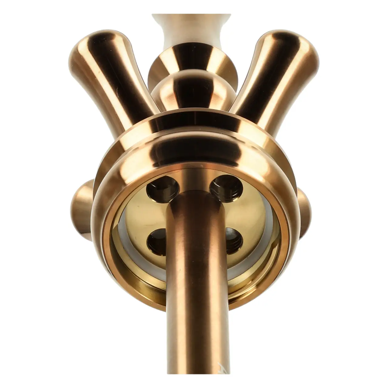 Alligator Gator S Base Bronze - von Unten