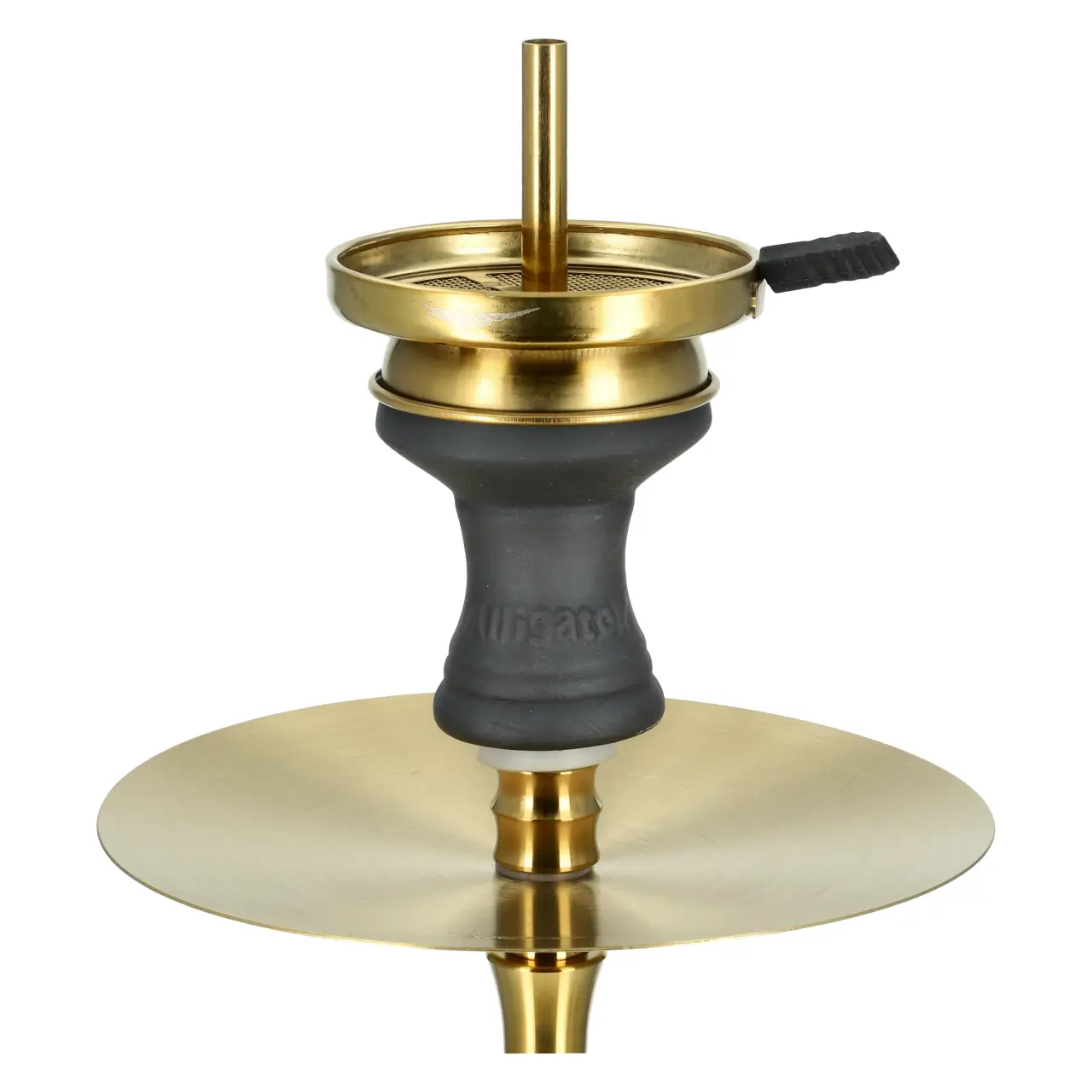 Alligator Gator S Teller mit Kopf Gold